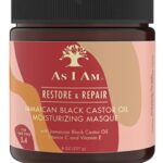 AIARestoenRepairMasque