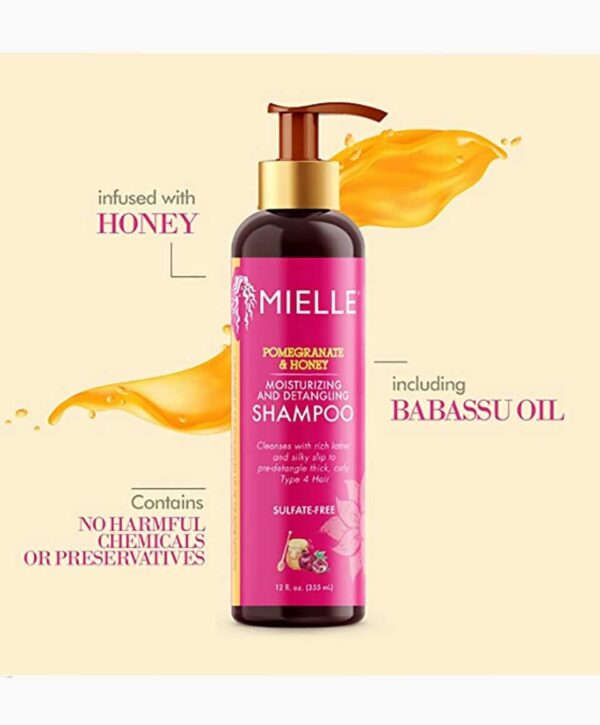 Pomegranate And Honey Moisturizing And Detangling Shampoo - Image 3